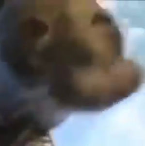 Meet your Posher, 2023-marcus